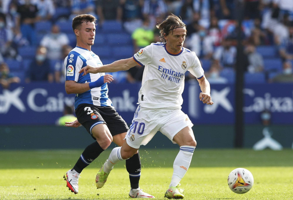 这支被誉为 这支被誉为